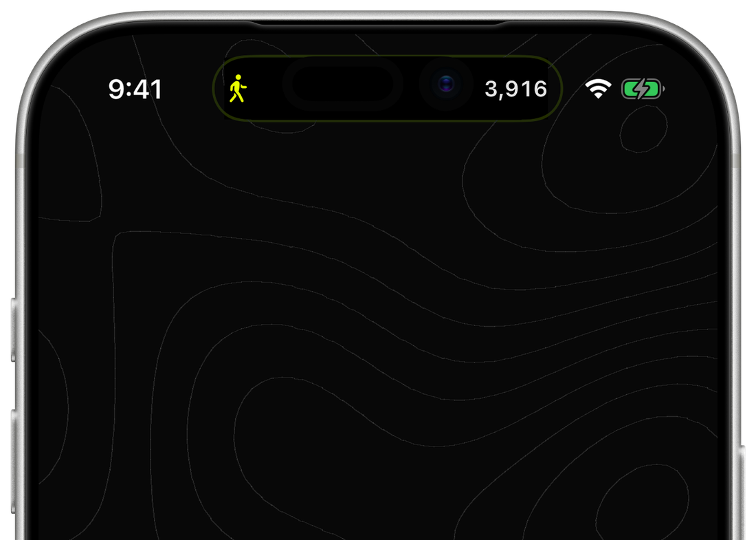 The top of an iPhone during a walk: the Dynamic Island holds a walking figure and 3,916 steps